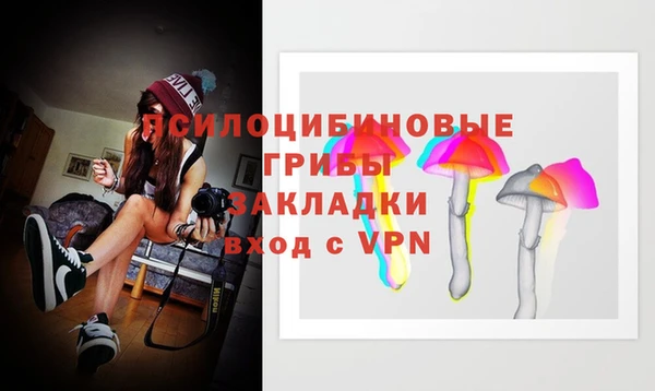 spice Алзамай