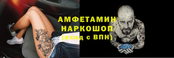 индика Пролетарск