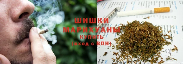 spice Алзамай